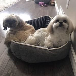 Meet your Posher, Kristin